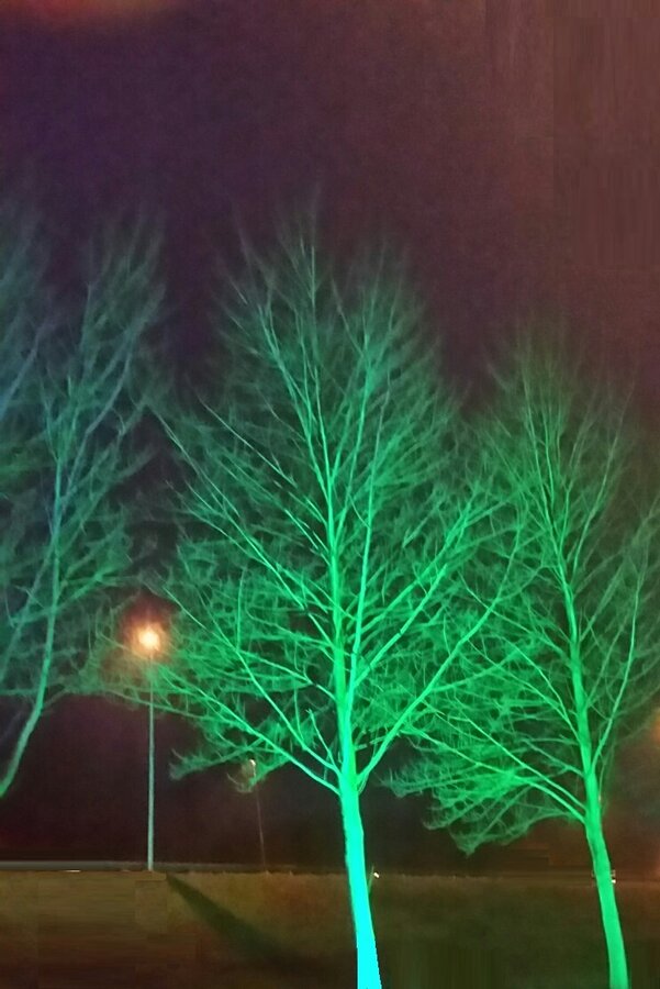 520NM groen verlichting terrein bewaking camera bewaking