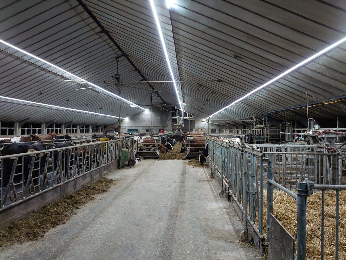 Vocare-Ledlight High power LED industrie strip