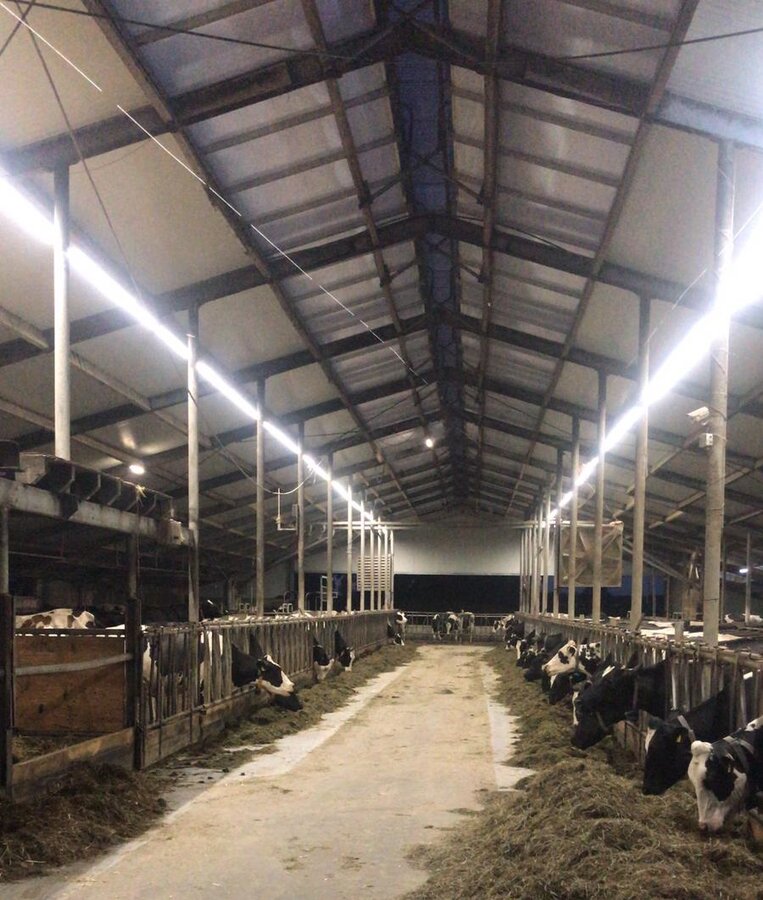 600W LED industrie strip Vocare-Ledlight