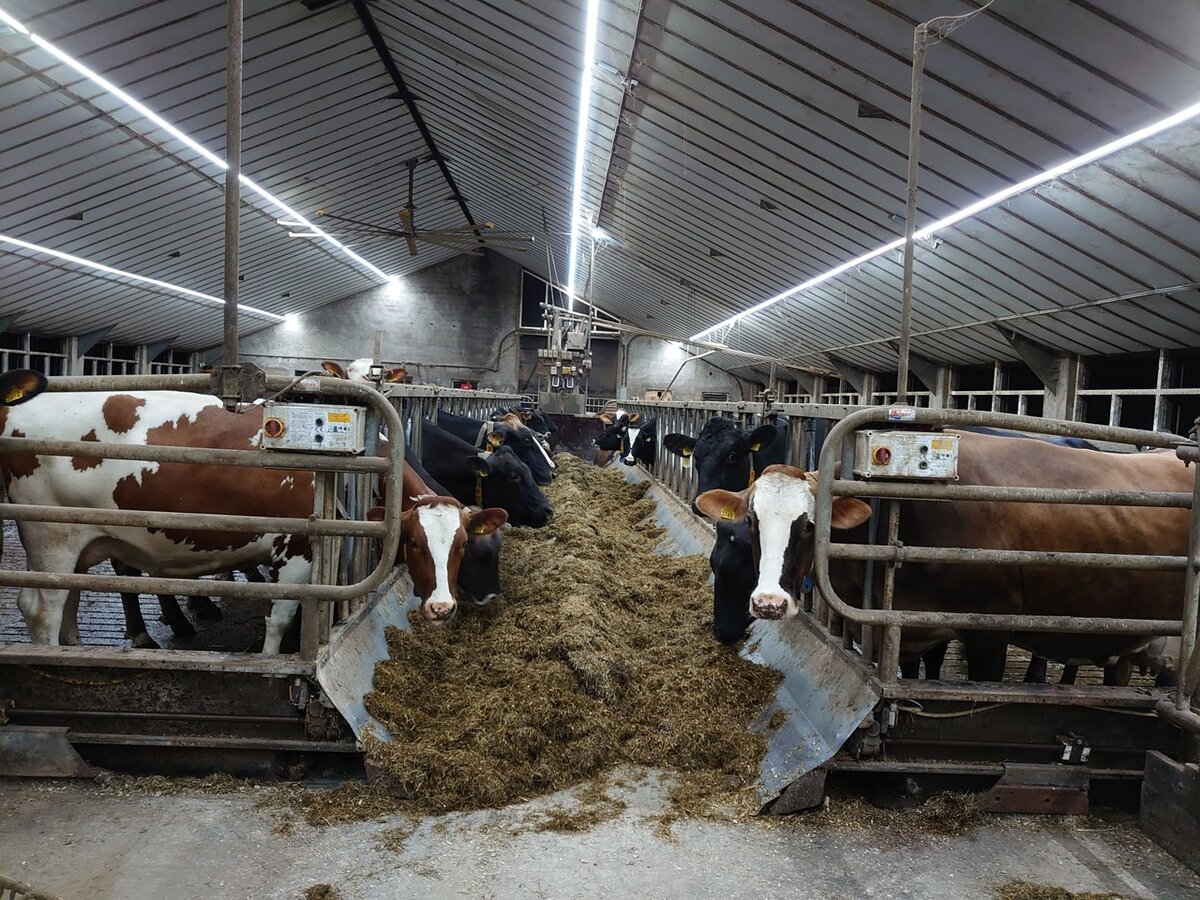 Vocare-Ledlight High power LED industrie strip