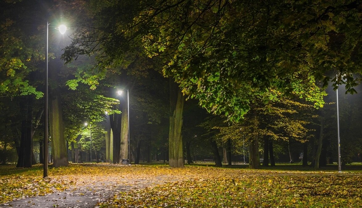 ROSA OW 1 LED 24W > 72W LED armatuur voor straat en parkverlichting 