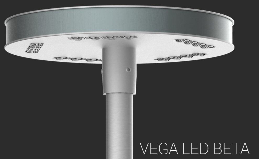 ROSA VEGA BETA LED