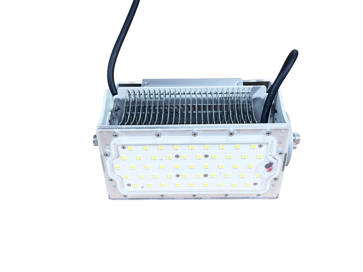 RVS Schijnwerper - XLT-100W OCEAN