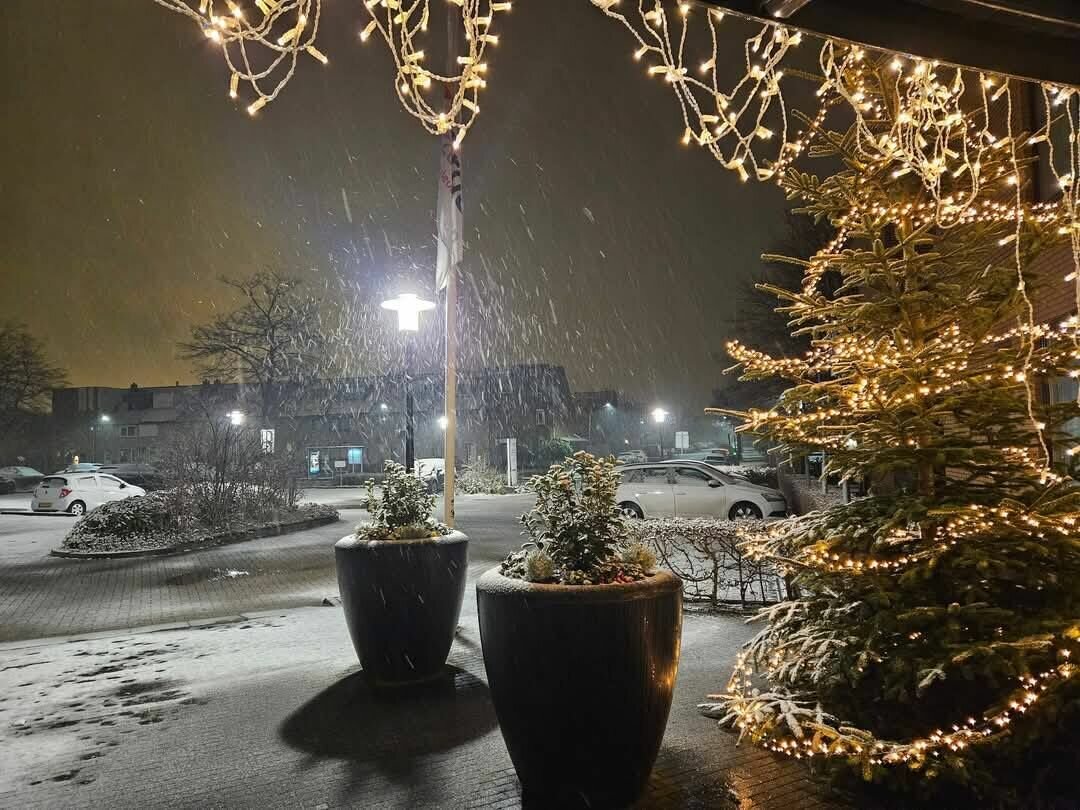 rosa elba inox moderne led parkeerplaats tuin en park verlichting