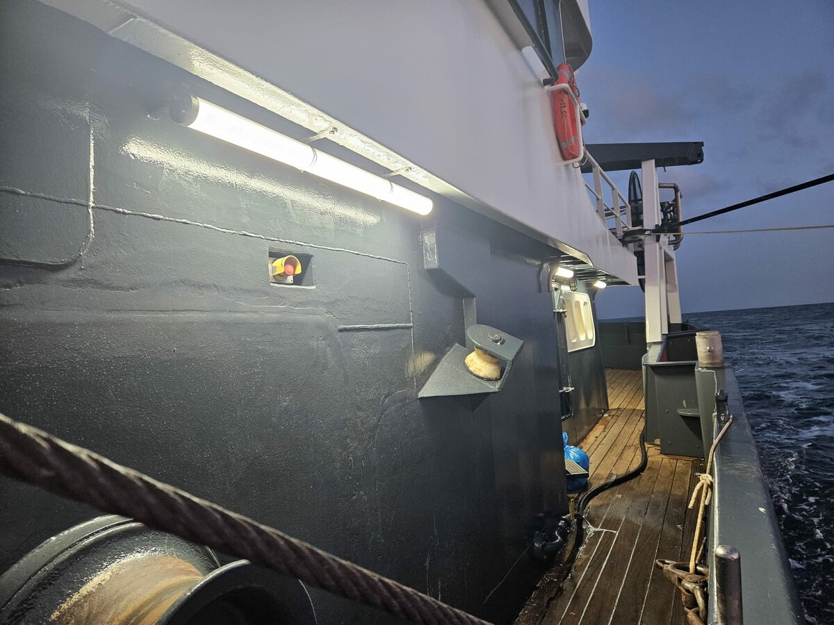 IP 69K ronde buis maritieme LED dekverlichting voor schip en boot