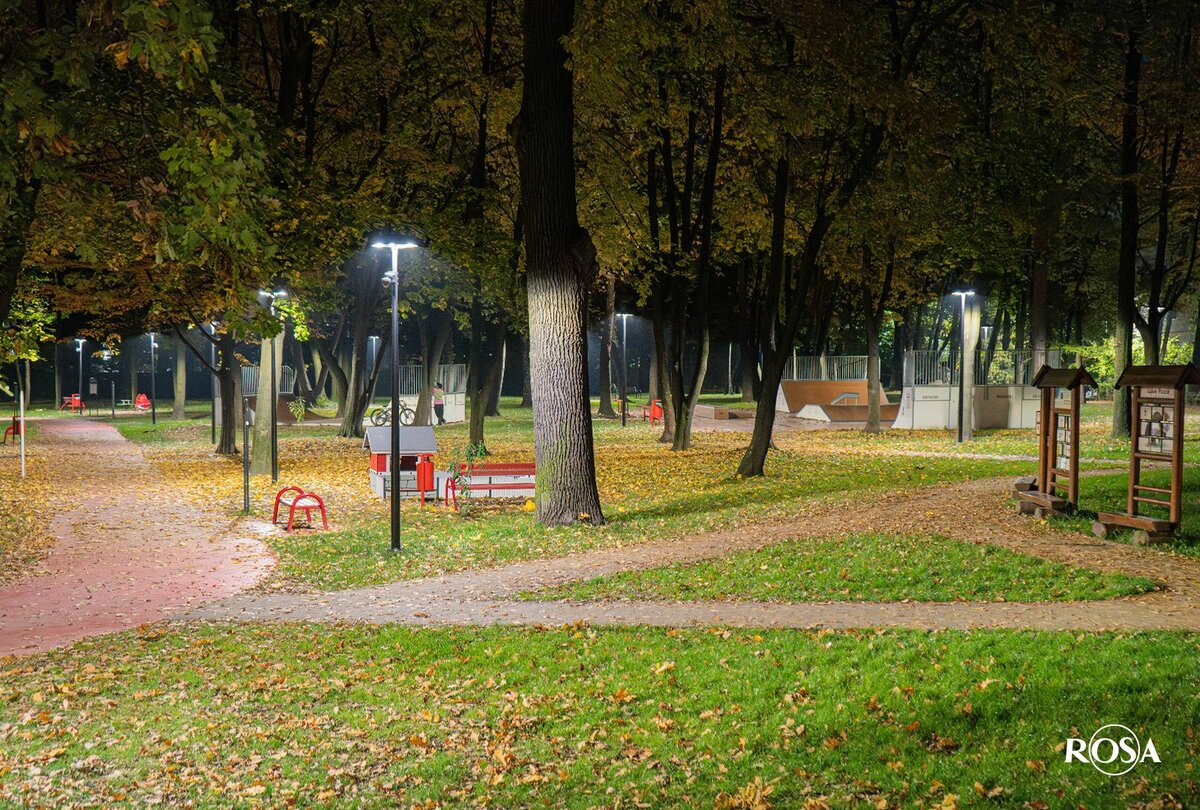 lantaarnpaal armatuur ROSA RING 2 LED 24W > 72W rond LED armatuur voor straat en parkverlichting 