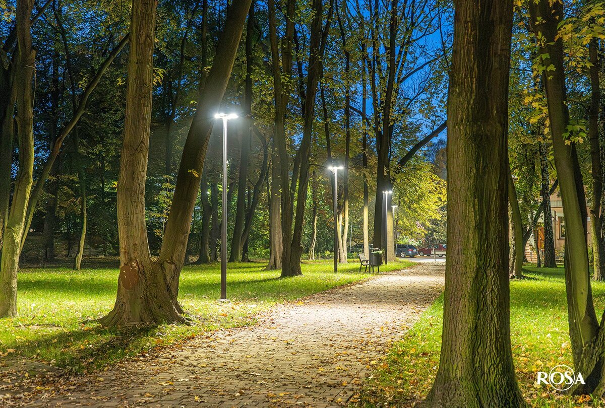 lantaarnpaal armatuur ROSA RING 2 LED 24W > 72W rond LED armatuur voor straat en parkverlichting 