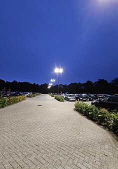 2x AMSTEL LUX Lantaarnpaal armatuur 100W tweevoudige dubbele lichtmast 2x AMSTEL LUX Lantaarnpaal armatuur 100W tweevoudige dubbele lichtmast
