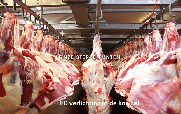 Verlichting voor slagerij en visverwerkingWaterproof  en heavy duty 60W TRI LED bar 150cm Vocare
