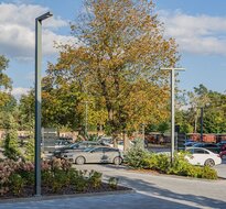 LINE I LED lichtmast / lantaarnpaal in twee varianten: zwart en grijs