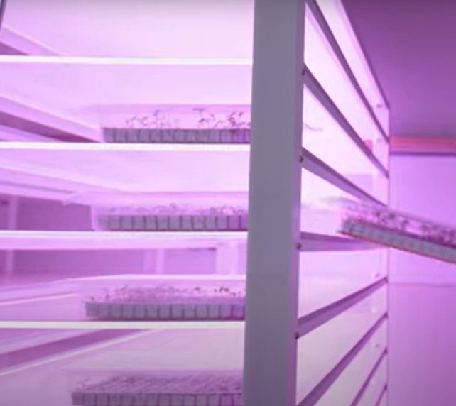 led groei panelen vocare ledlight