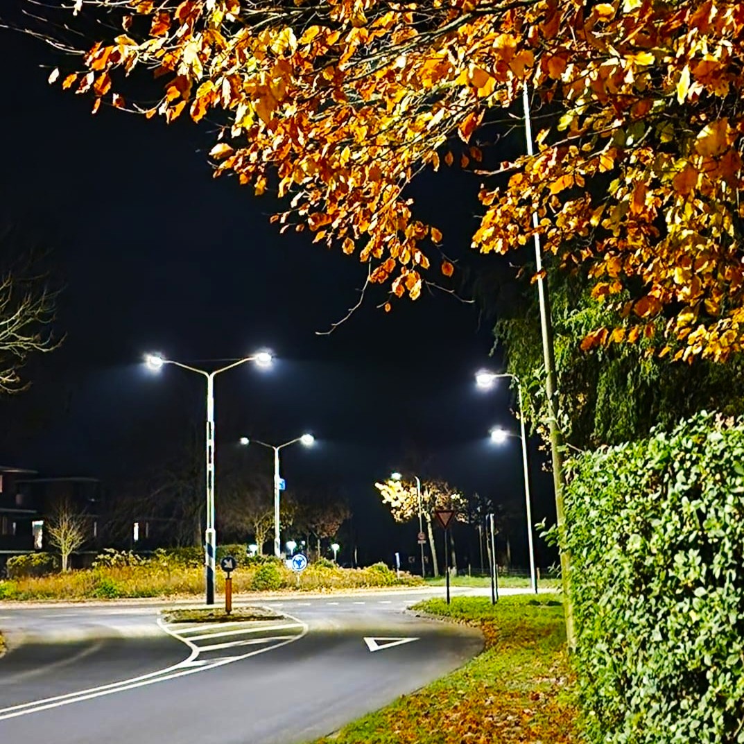 Ringstrasse Gemeinde Olst-Wijhe