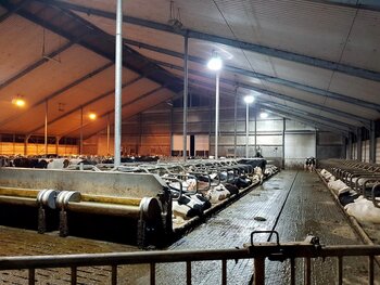 Verlichting voor de veehouderij