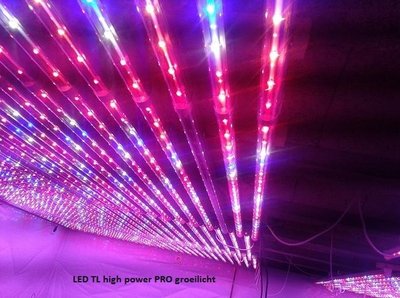 20 watt LED TL 120cm 230V wachs licht - LED lampen partner 20 watt LED TL 120cm 230V wachs licht - LED lampen partner