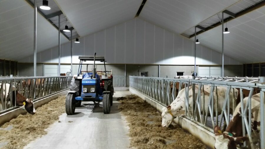 Need Advice on Barn Lighting?