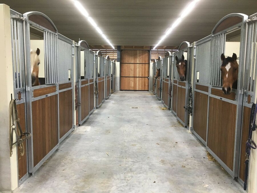 Why LED lighting is the Best Choice for Livestock
