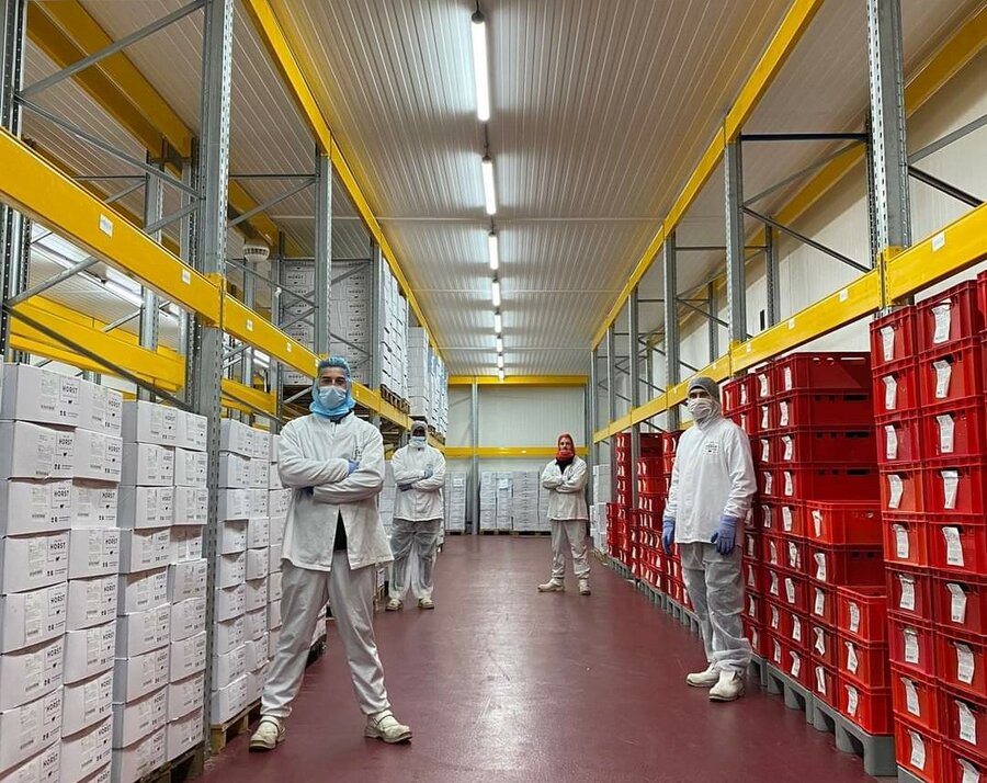 Explosion‑Proof ATEX Lighting for Hazardous Areas